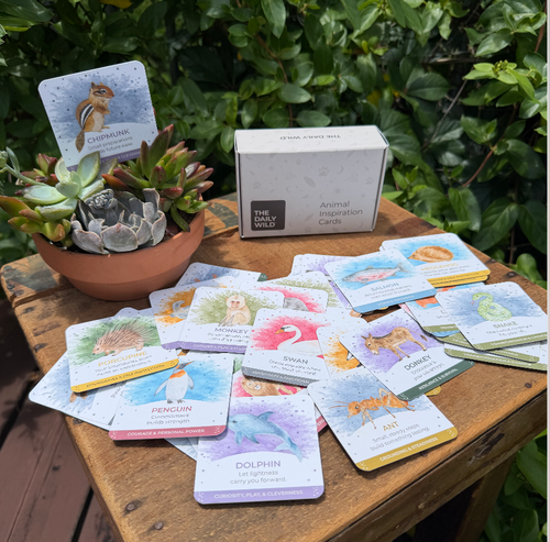 Daily Wild Animal Inspiration Card Deck