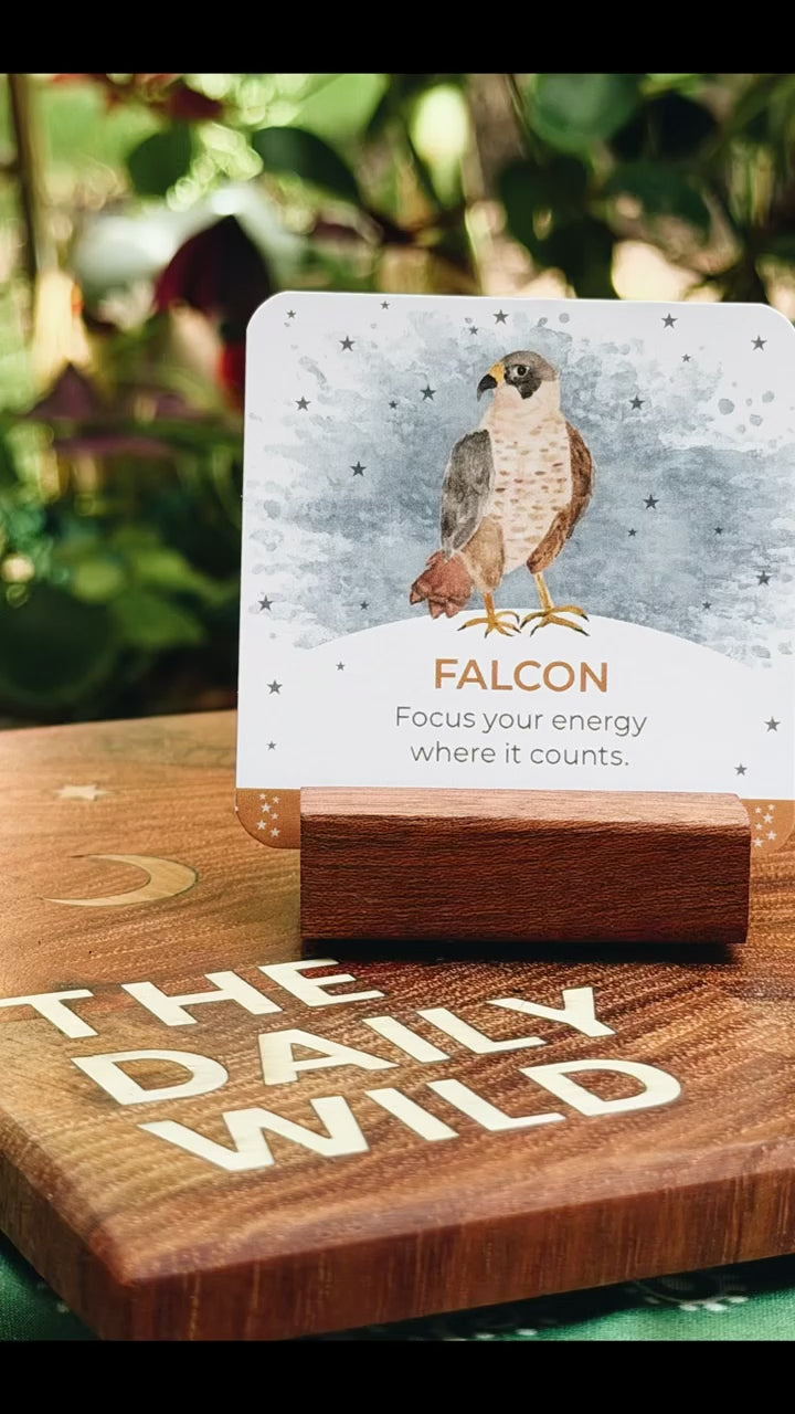 Daily Wild Animal Inspiration Card Deck